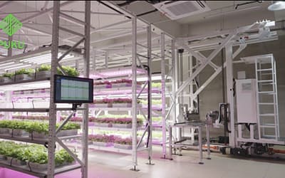 Auto AI Vertical Farming